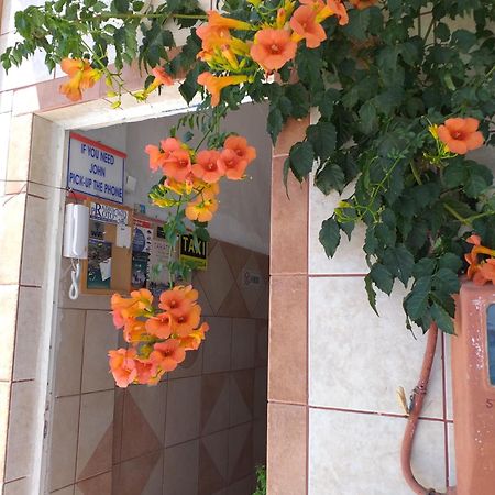 Ladikos Beach Hotel Kardamena  외부 사진