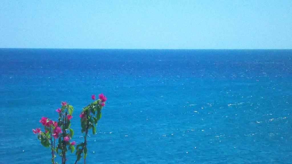 Ladikos Beach Hotel Kardamena  객실 사진