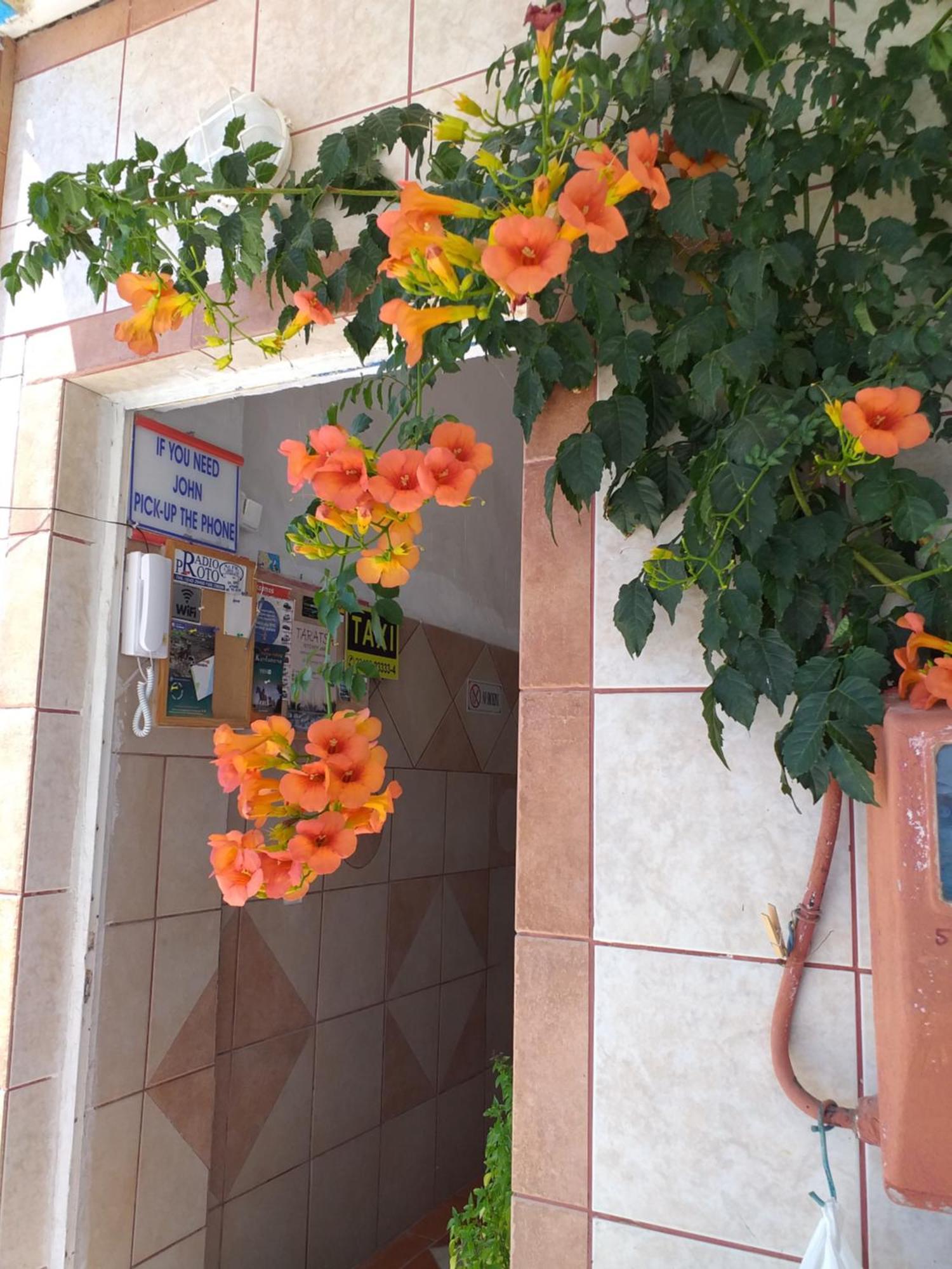 Ladikos Beach Hotel Kardamena  외부 사진